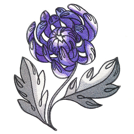 Wild With Color Spider Mum