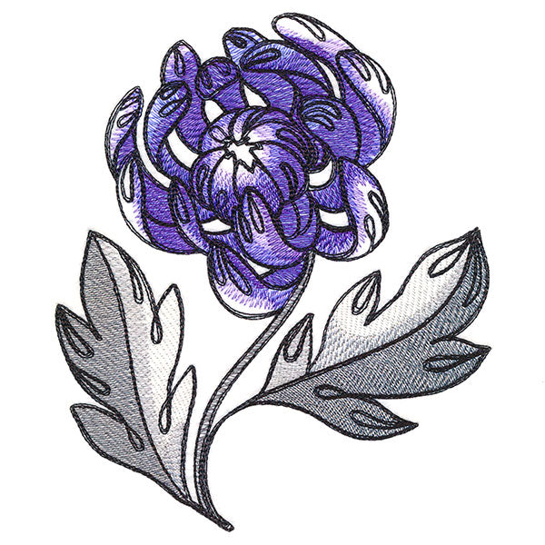 Wild With Color Spider Mum