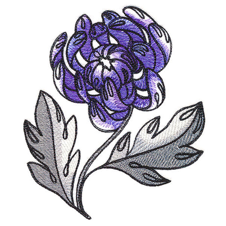 Wild With Color Spider Mum