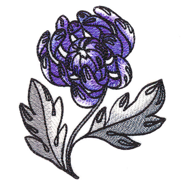 Wild With Color Spider Mum