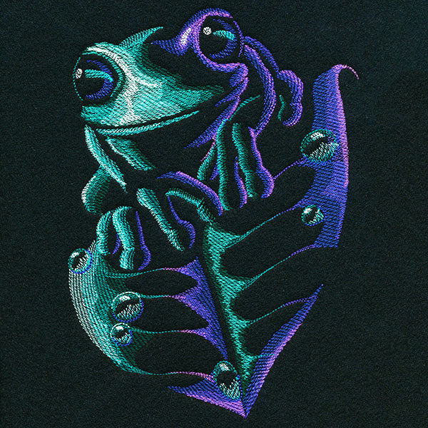 Midnight Wondrous Frog