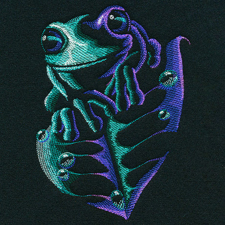 Midnight Wondrous Frog