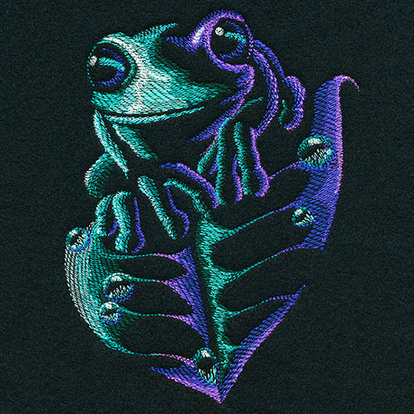 Midnight Wondrous Frog