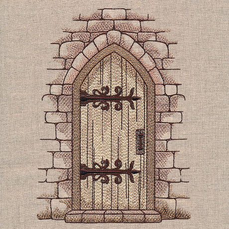 Mystique Antique Door