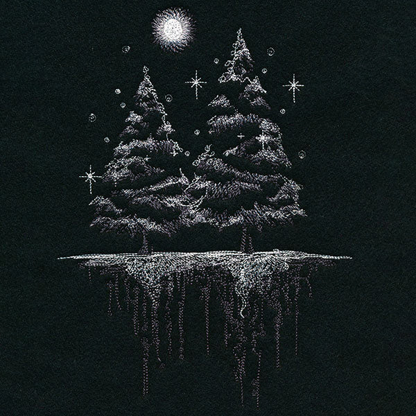 Snowy Night Forest