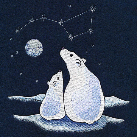 Ursa Major Winter Scene