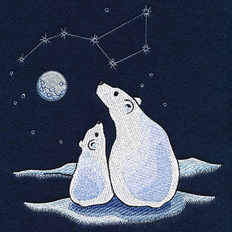 Ursa Major Winter Scene