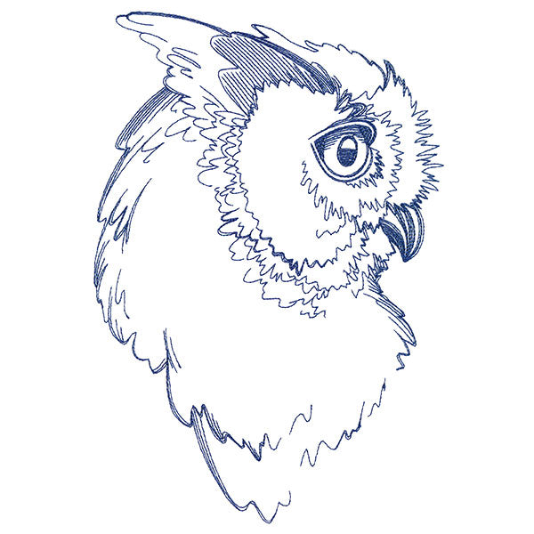 Wise Horned Owl