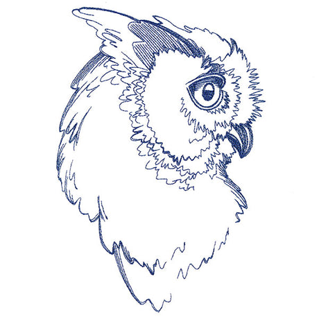 Wise Horned Owl