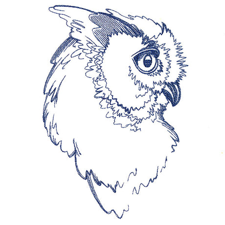 Wise Horned Owl