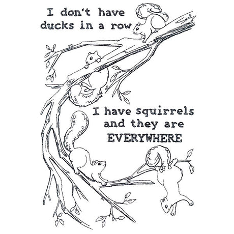 I Have Squirrels Everywhere