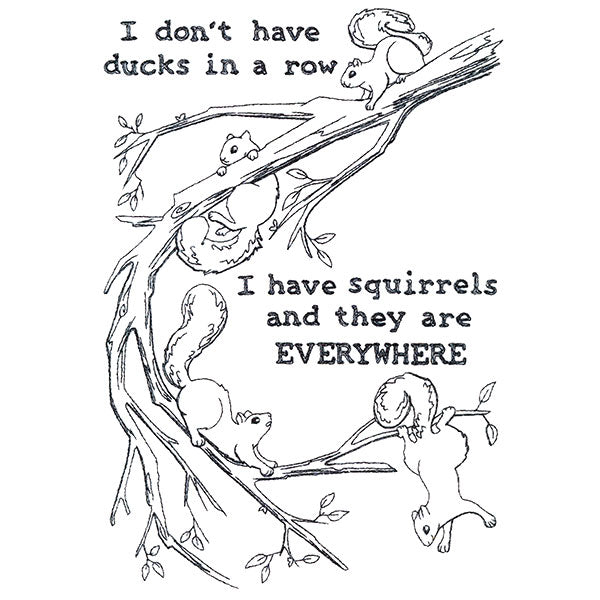 I Have Squirrels Everywhere