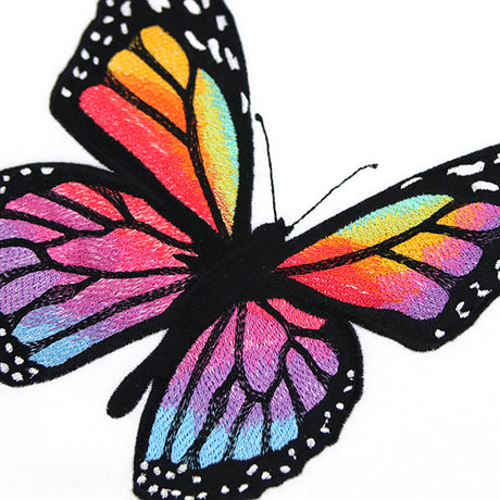Rainbow Monarch Butterfly