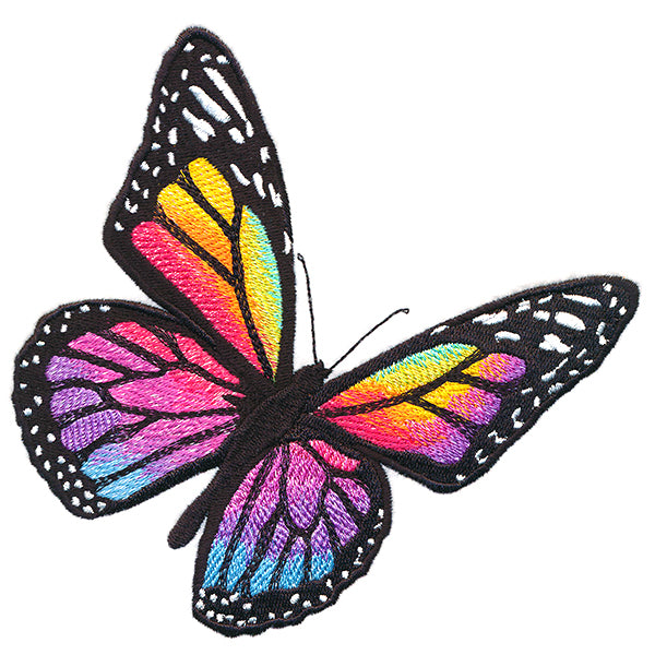 Rainbow Monarch Butterfly