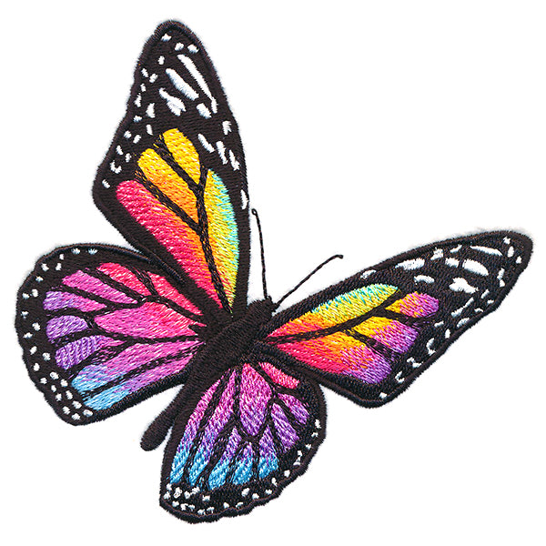 Rainbow Monarch Butterfly