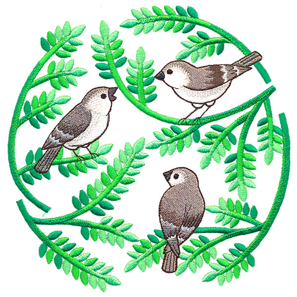 Ferns and Birds Circle