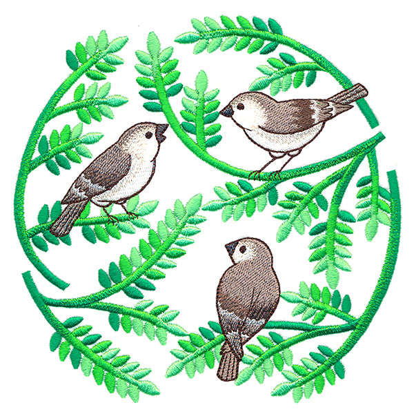 Ferns and Birds Circle