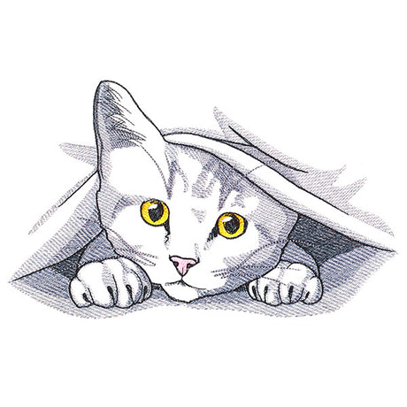 Peeking and Playful Cat