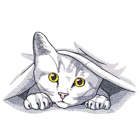 Peeking and Playful Cat