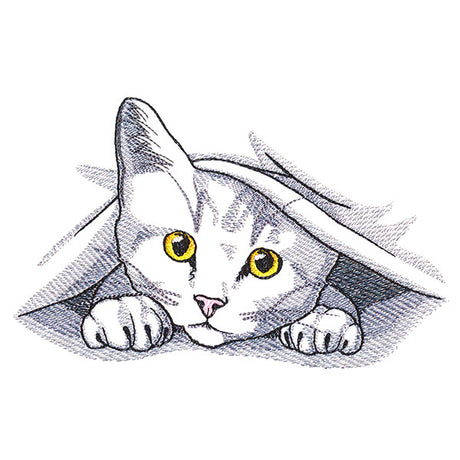 Peeking and Playful Cat