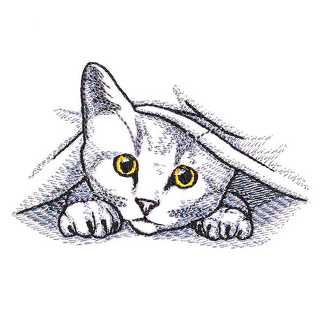 Peeking and Playful Cat