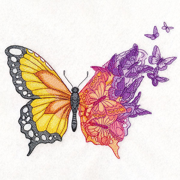 Metamorphosis Butterfly