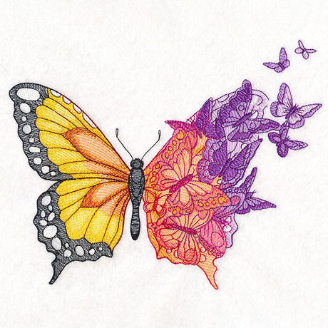 Metamorphosis Butterfly