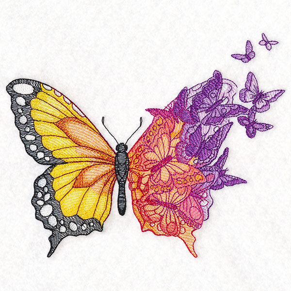 Metamorphosis Butterfly