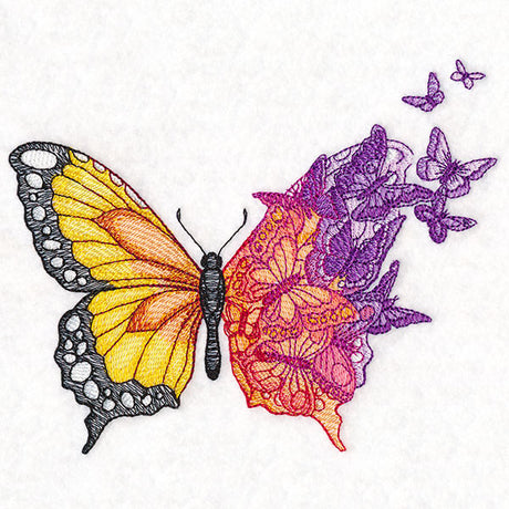 Metamorphosis Butterfly