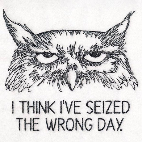 I Think I've Seized the Wrong Day Owl