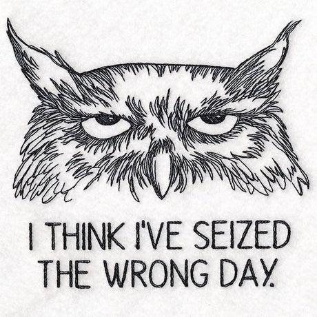 I Think I've Seized the Wrong Day Owl