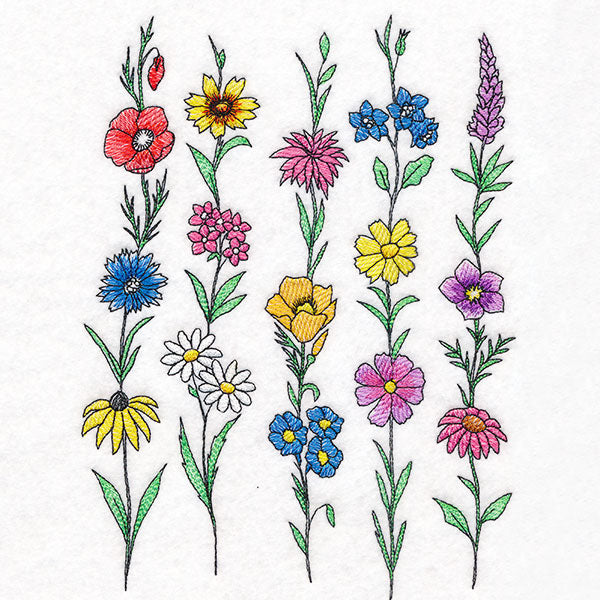 Picked for You Wildflower Border