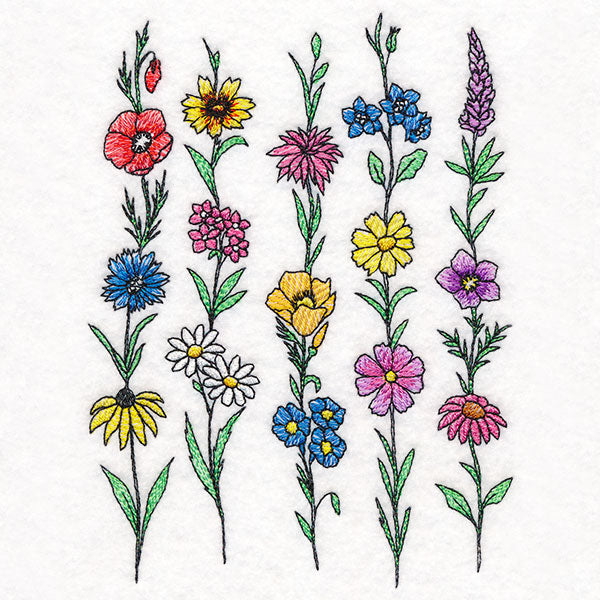 Picked for You Wildflower Border