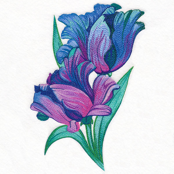 Spectrum of Color Parrot Tulips