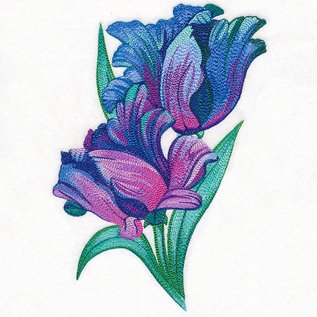 Spectrum of Color Parrot Tulips