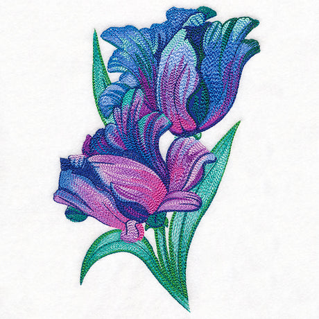 Spectrum of Color Parrot Tulips