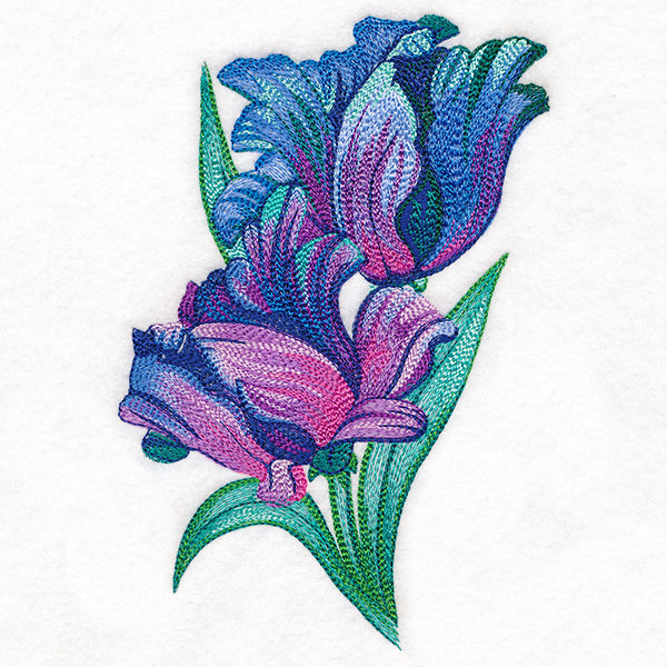 Spectrum of Color Parrot Tulips