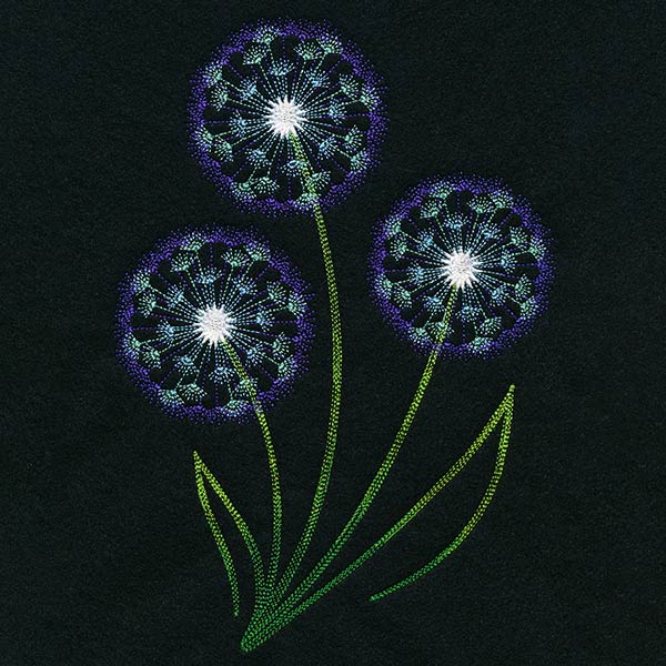 Midnight Illumination Dandelions