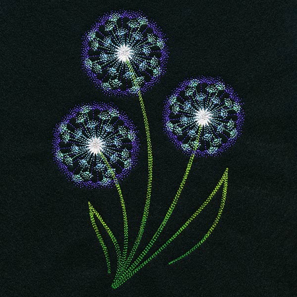 Midnight Illumination Dandelions