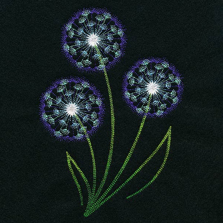 Midnight Illumination Dandelions