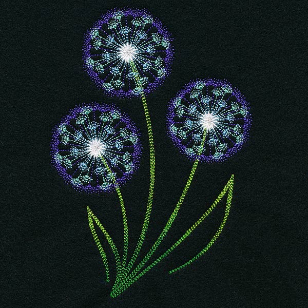 Midnight Illumination Dandelions