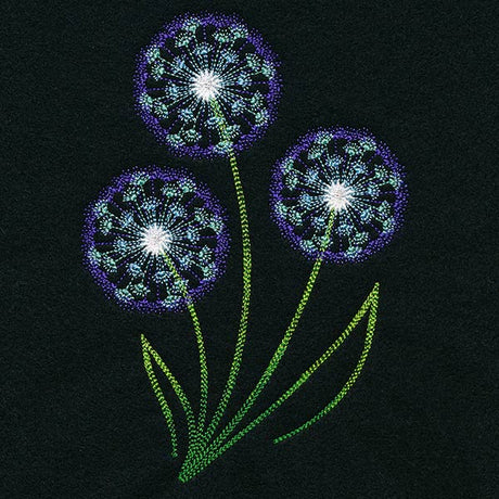 Midnight Illumination Dandelions