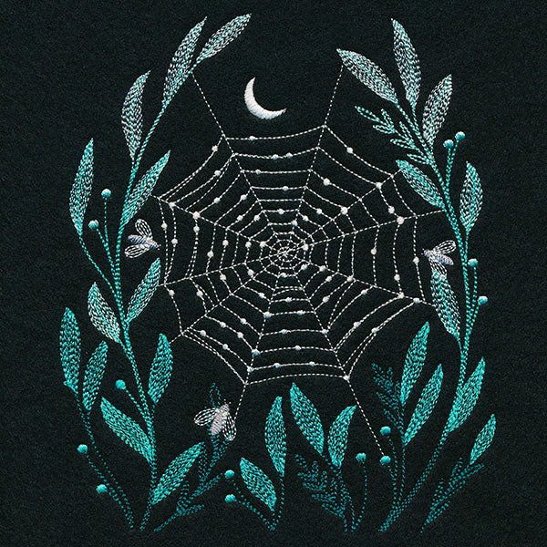 Delicate Dewdrops Spiderweb