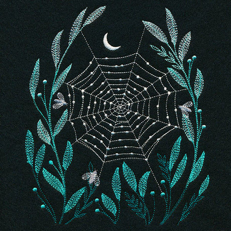 Delicate Dewdrops Spiderweb