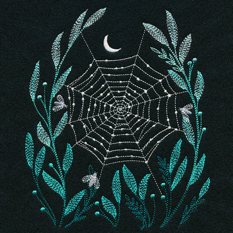 Delicate Dewdrops Spiderweb