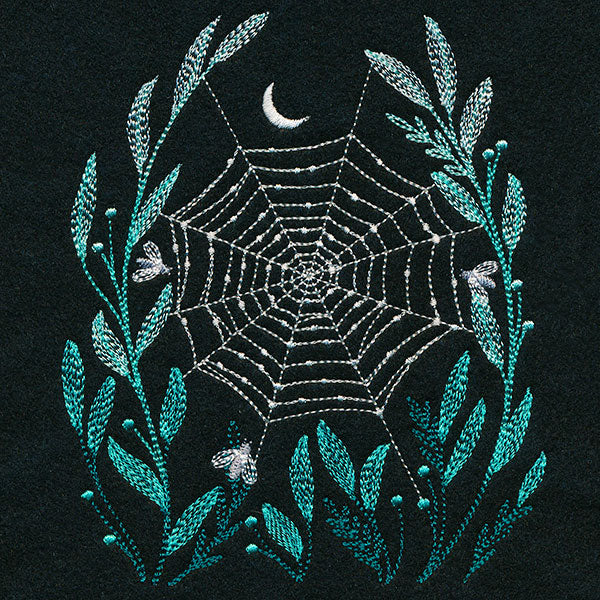 Delicate Dewdrops Spiderweb