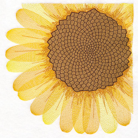 Macro Sunflower Square