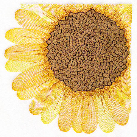 Macro Sunflower Square