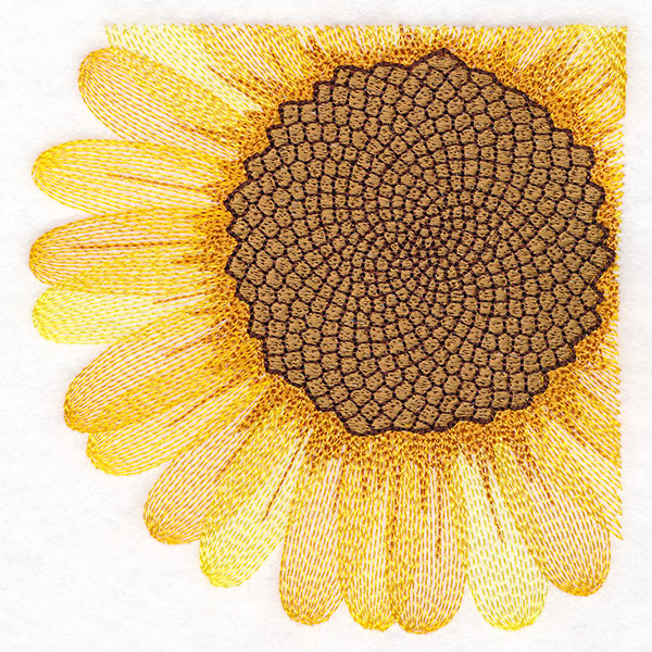 Macro Sunflower Square