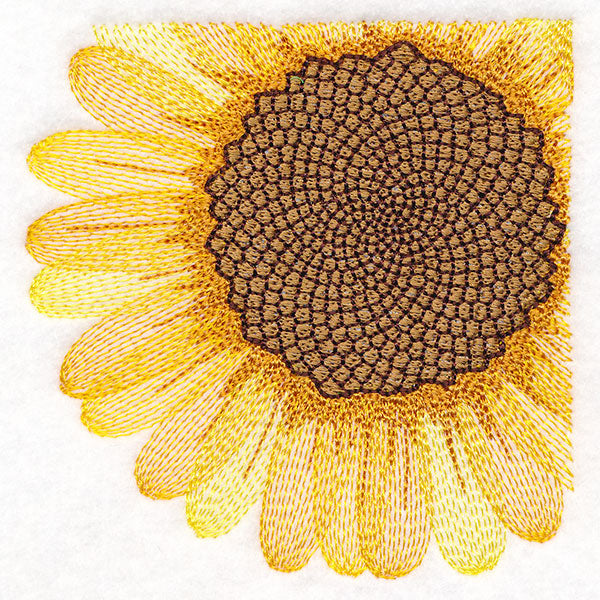 Macro Sunflower Square